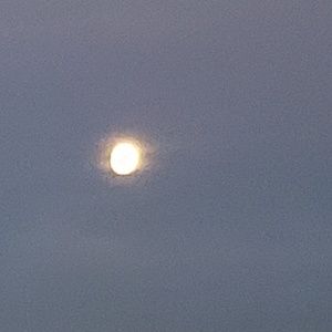 Meet your Posher, Mckenzie